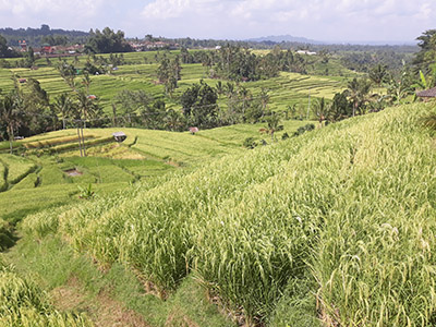 Touren auf Flores